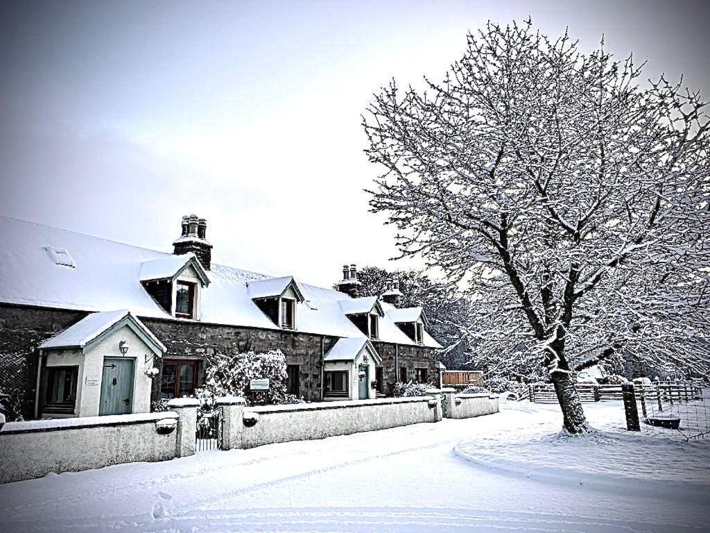 Rosemount Cottage Two - Highland Cottage Garve Exterior foto